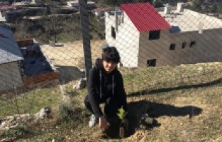 Adana'da öğrenciler fidan dikti