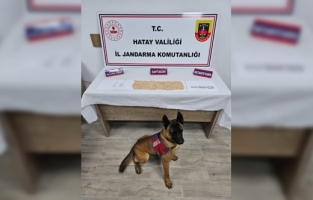 Hatay'da evinde 2 bin 50 uyuşturucu hap bulunan şüpheli gözaltına alındı