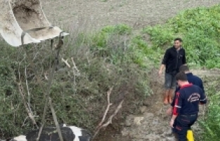 Hatay'da su kanalına düşen ineği itfaiye kurtardı