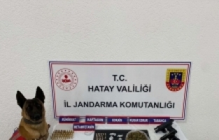 Hatay'da uyuşturucu operasyonunda 2 şüpheli gözaltına alındı