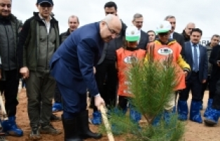 Adana ve Mersin'de Dünya Ormancılık Günü kapsamında fidan dikimi yapıldı
