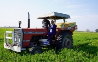 Adana'da mera ıslah çalışmaları sürüyor