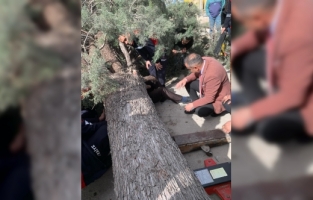 Burdur'da devrilen ağacın altında kalan belediye başkan adayı ve oğlu yaralandı