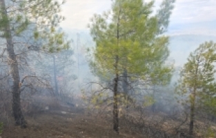 Mersin Gülnar'da çıkan orman yangını söndürüldü
