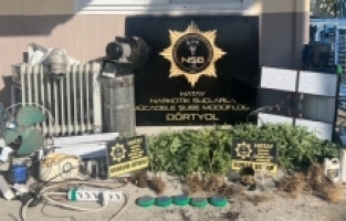 Hatay'da sığınakta uyuşturucu yetiştiren şüpheli gözaltına alındı