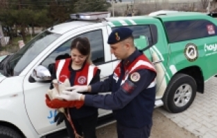 Isparta'da cami avlusuna düşen leyleği jandarma ekipleri kurtardı
