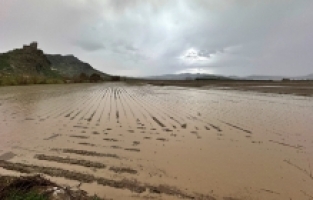 Osmaniye'de sağanak ve dolu nedeniyle bazı tarım arazileri sular altında kaldı