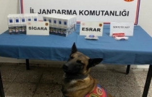 Osmaniye'de uyuşturucu operasyonlarında 10 kişi gözaltına alındı