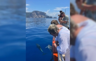 Alanya'da tur teknesine eşlik eden yunuslar görüntülendi