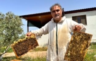 Hobi olarak arıcılığa başlayan terör gazisi, devlet desteğiyle 400 kovana ulaştı