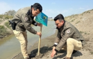 Mersin'de caretta carettaların yumurta bıraktığı sahile uyarı levhaları dikildi