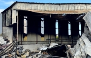 Mersin'de narenciye paketleme tesisinde çıkan yangın söndürüldü