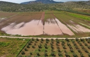 Osmaniye'de sağanak ve dolu, tarım arazilerine zarar verdi