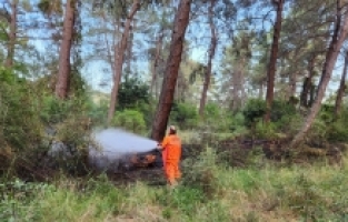 Antalya'da ormanlık alanda çıkan yangın söndürüldü