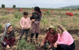 Asu Kaya, mevsimlik tarım işçileri tatil amaçlı yer değiştiriyor diyen siyasileri Osmaniye’ye davet etti