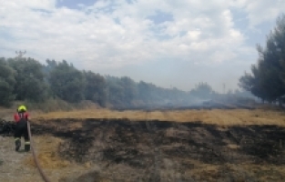Tarsus'ta çıkan anız yangını söndürüldü