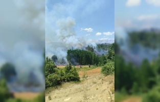 Aladağ'da çıkan orman yangını kontrol altına alındı