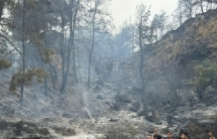 Aksu'da çıkan orman yangını kontrol altına alındı