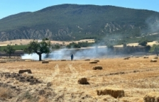 Isparta'da tarım arazisinde çıkan yangın söndürüldü