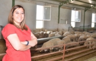 Kahramanmaraşlı kadın girişimci devlet desteğiyle kurduğu çiftlikte 1000 koyuna ulaştı