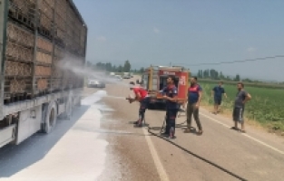 Osmaniye'de tavuk yüklü tırda çıkan yangın söndürüldü