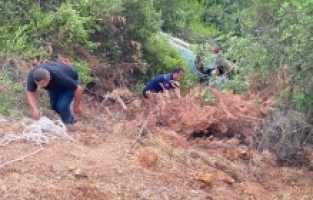 Adana'da ağaçlık alana devrilen otomobildeki 7 kişi yaralandı