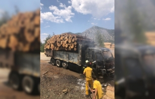 Adana'da orman deposundaki tomruk yüklü kamyonda çıkan yangın söndürüldü