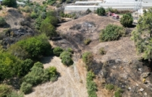 Antalya'da çıkan orman yangını söndürüldü