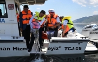 Eğirdir Gölü'ne 1 milyon 200 bin sazan yavrusu bırakıldı