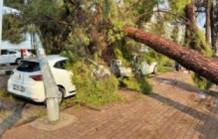 Osmaniye'de sağanak ve şiddetli rüzgar etkili oldu