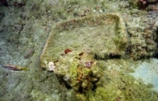 Dünyanın en eski ticaret gemisi batığındaki kazı çalışmaları görüntülendi