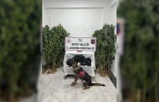 Hatay'da uyuşturucu ve kaçakçılık operasyonlarında 37 şüpheli yakalandı