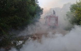 Kadirli'deki orman yangını kontrol altına alındı