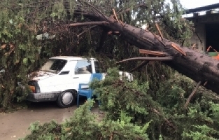 Osmaniye'de fırtına ve sağanak hayatı olumsuz etkiledi