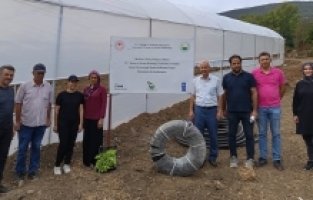 Osmaniye'de genç kız devletten aldığı destekle sera kurdu