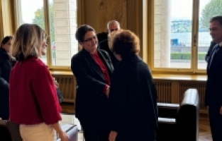 TBMM İnsan Haklarını İnceleme Komisyonu'ndan Cenevre'de kritik ziyaretler