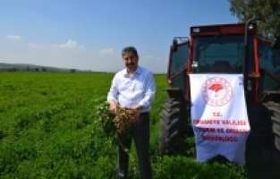 Vali Yılmaz: AB tescilli Osmaniye Yer Fıstığı dünyada kendini kanıtlamış bir ürün