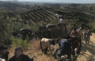 Kadirli'de devrilen traktördeki 4 kişi yaralandı