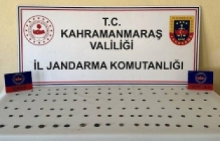 Kahramanmaraş'ta 110 tarihi sikke ve bir obje ele geçirildi
