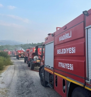 Kadirli'deki orman yangını kontrol altına alındı