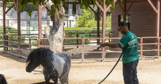 Tarsus Doğa Parkı'nda hayvanlar buz kokteyli ve yağmurlama sistemiyle ferahlıyor