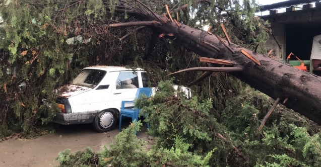 Osmaniye'de fırtına ve sağanak hayatı olumsuz etkiledi