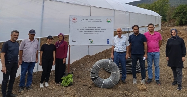 Osmaniye'de genç kız devletten aldığı destekle sera kurdu