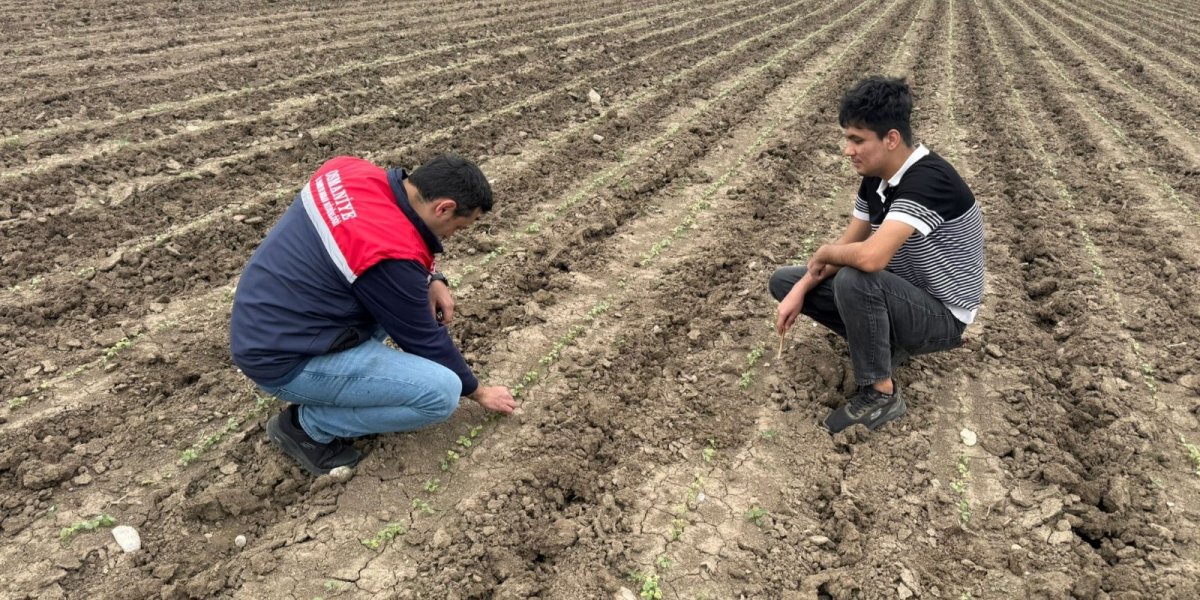 Sağanak sonrası üreticiye teknik destek