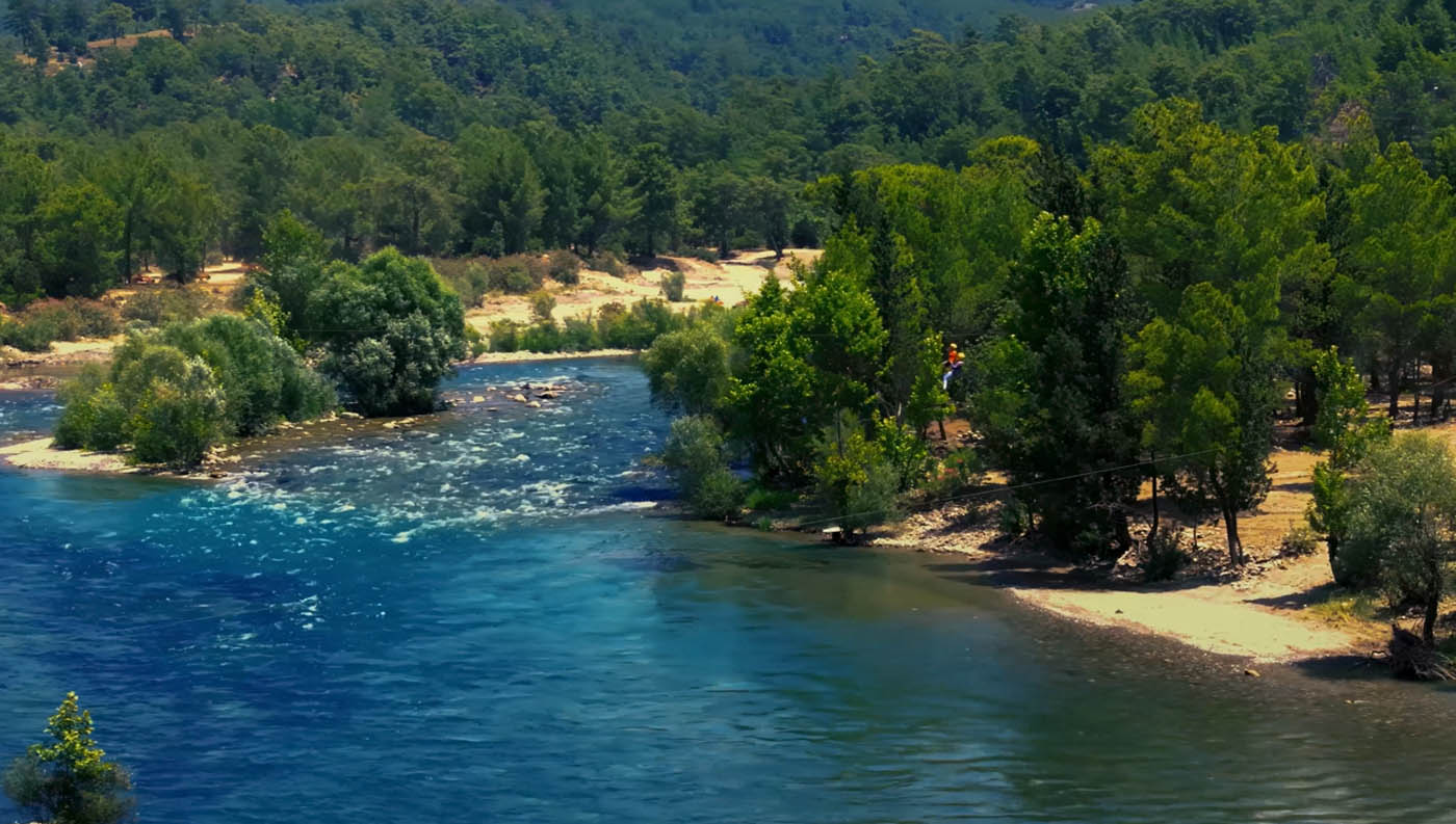 COP31 Türkiye için Özel Şarkı