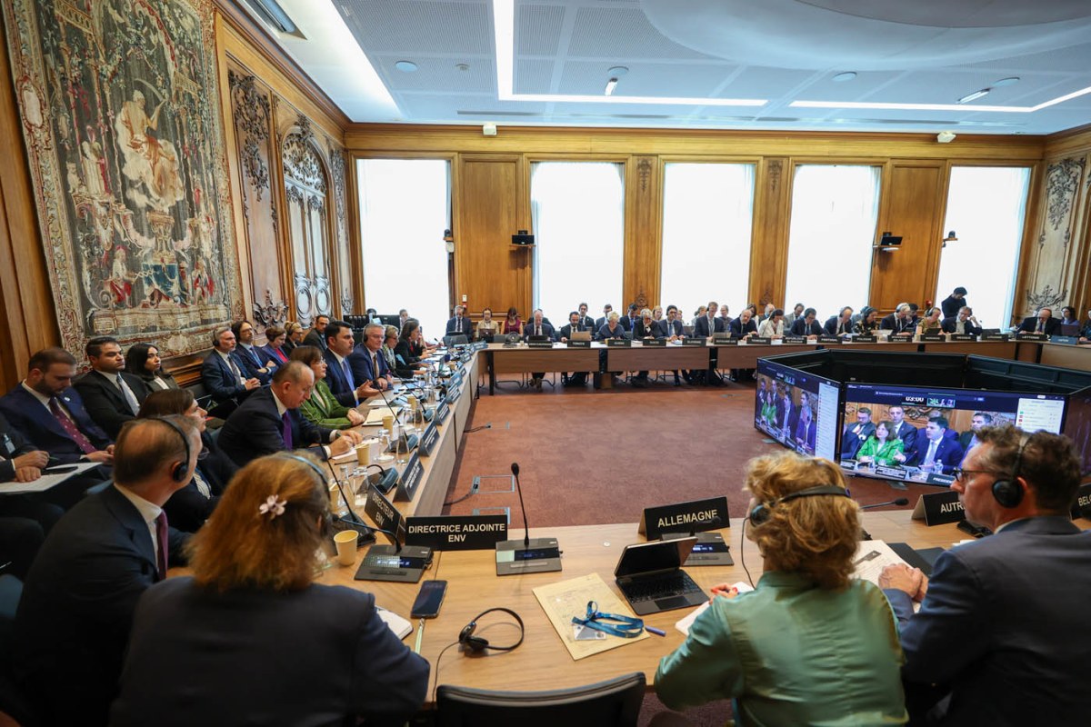 OECD İLE COP31 BAŞKANLIĞI STRATEJİK ORTAK OLDU